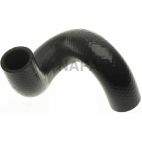 Radiator Coolant Hose