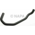 Radiator Coolant Hose