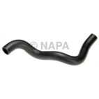 Radiator Coolant Hose