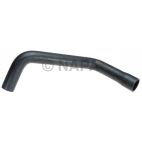 Radiator Coolant Hose