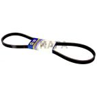 Serpentine Belt