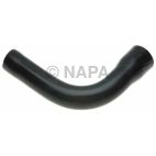 Radiator Coolant Hose