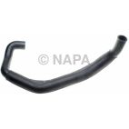 Radiator Coolant Hose