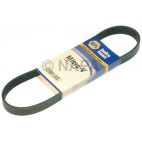 Serpentine Belt