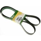 Accessory Drive Belt