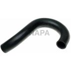 Radiator Coolant Hose