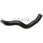 Radiator Coolant Hose