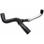 Radiator Coolant Hose