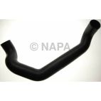 Radiator Coolant Hose