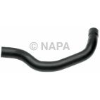 Radiator Coolant Hose