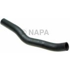 Radiator Coolant Hose