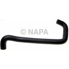 Radiator Coolant Hose
