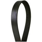 V-Belt