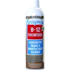 Berryman® B-12 Chemtool® Carburetor Cleaner - 16 oz