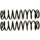 Coil Spring