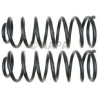 Coil Spring