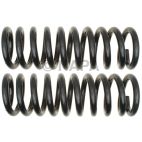 Coil Spring