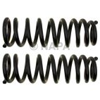 Coil Spring
