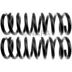 Coil Spring