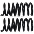 Coil Spring