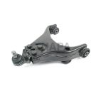 Suspension Control Arm and Ball Joint Assembly