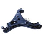 Suspension Control Arm and Ball Joint Assembly