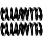 Coil Spring