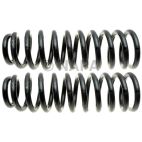 Coil Spring