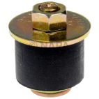Engine Expansion Plug Kit