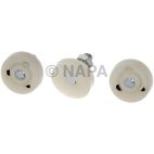 Window Regulator Roller