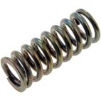 Door Hinge Spring