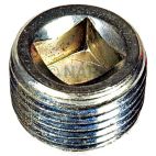 Engine Expansion Plug Kit