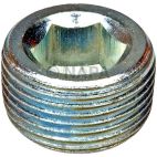Engine Expansion Plug Kit