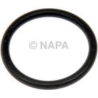 Transmission Drain Plug