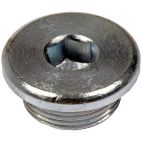 Engine Oil Drain Plug