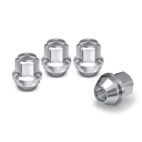 Lug Nut
