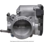 Fuel Injection Throttle Body
