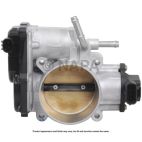 Fuel Injection Throttle Body