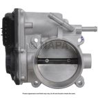 Fuel Injection Throttle Body