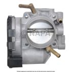Fuel Injection Throttle Body