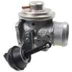 Exhaust Gas Recirculation (EGR) Valve
