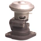 Exhaust Gas Recirculation (EGR) Valve