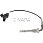 Exhaust Gas Recirculation (EGR) Valve Temperature Sensor