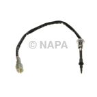 Exhaust Gas Temperature (EGT) Sensor