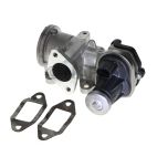 Exhaust Gas Recirculation (EGR) Valve