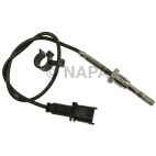 Exhaust Gas Recirculation (EGR) Valve Temperature Sensor