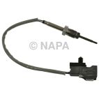 Exhaust Gas Recirculation (EGR) Valve Temperature Sensor