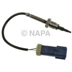 Exhaust Gas Recirculation (EGR) Valve Temperature Sensor