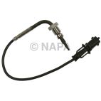 Exhaust Gas Recirculation (EGR) Valve Temperature Sensor