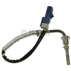 Exhaust Gas Recirculation (EGR) Valve Temperature Sensor